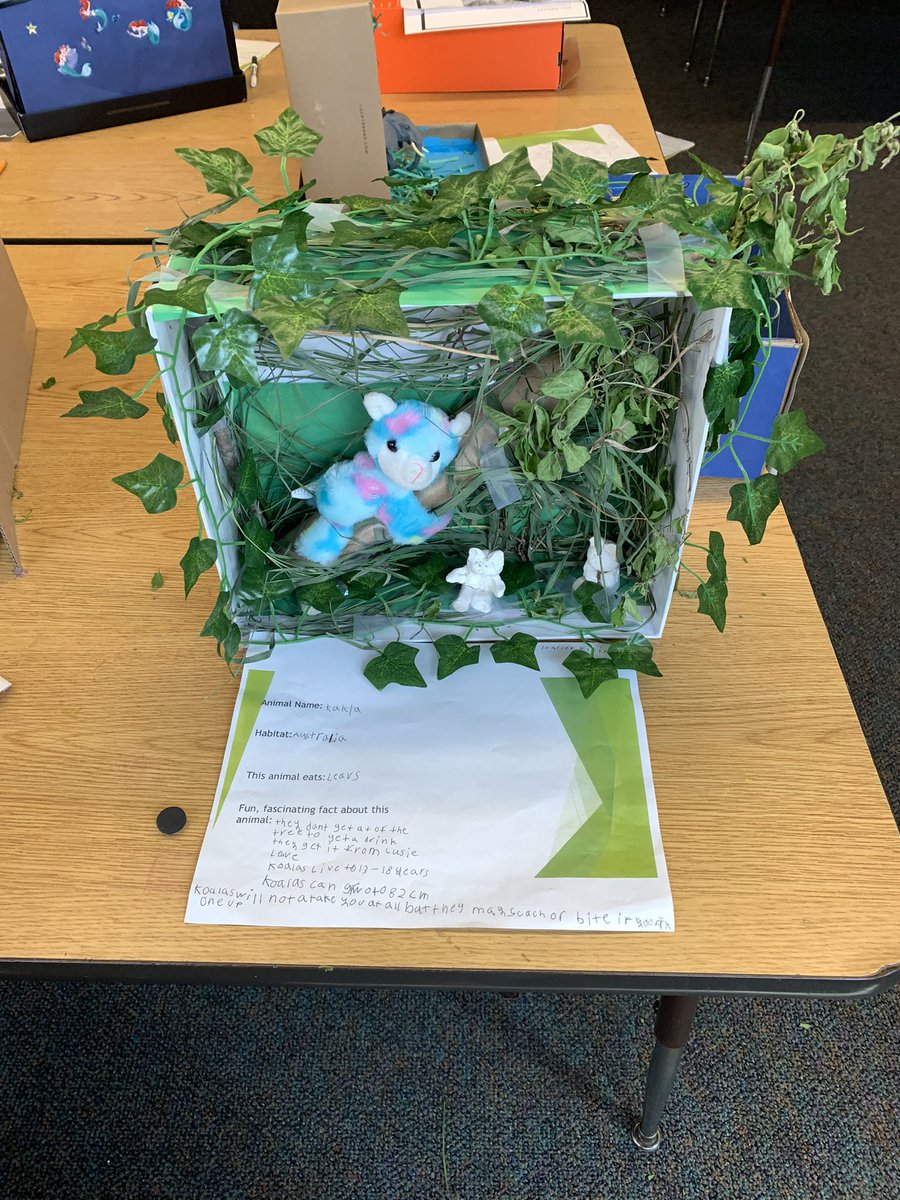 Carlisle Elementary tweet media