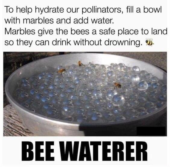 Finally a plan for my childhood marbles! 

You can also use stones or pebbles. 

#SaveTheBees 🐝