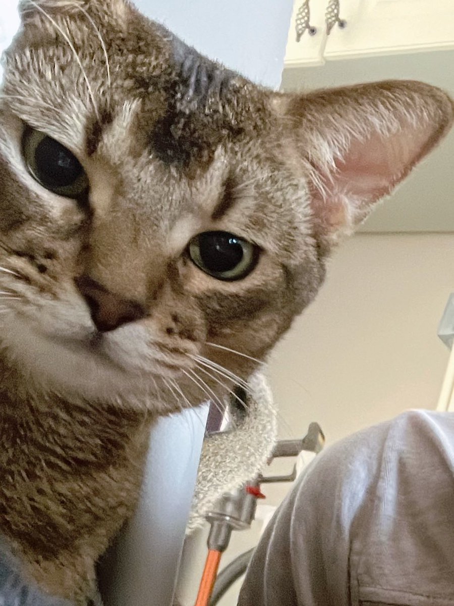 ป๊าถ่ายยูปเย๋อ ไอขอถ่ายดั๊วะคงนะ