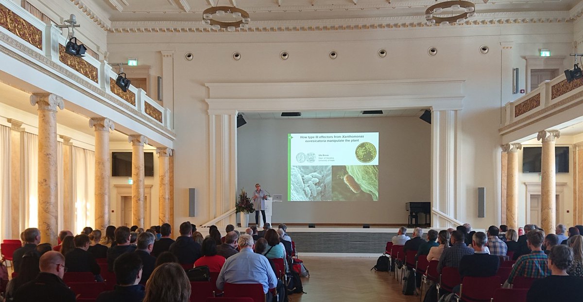 IPB_Halle's tweet photo. More interesting #plantimmunity, #plantpathology, #plantdefense talks by Ulla Bonas (@UniHalle) and @KamounLab during today's 2nd half of #IPB2023, rounded up by Paul Schulze-Lefert (@mpipz_cologne) reporting on plant root microbiota. https://t.co/afvvRgeTj5