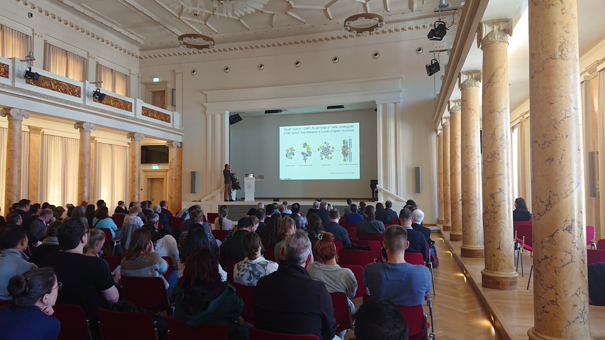 IPB_Halle's tweet photo. More interesting #plantimmunity, #plantpathology, #plantdefense talks by Ulla Bonas (@UniHalle) and @KamounLab during today's 2nd half of #IPB2023, rounded up by Paul Schulze-Lefert (@mpipz_cologne) reporting on plant root microbiota. https://t.co/afvvRgeTj5