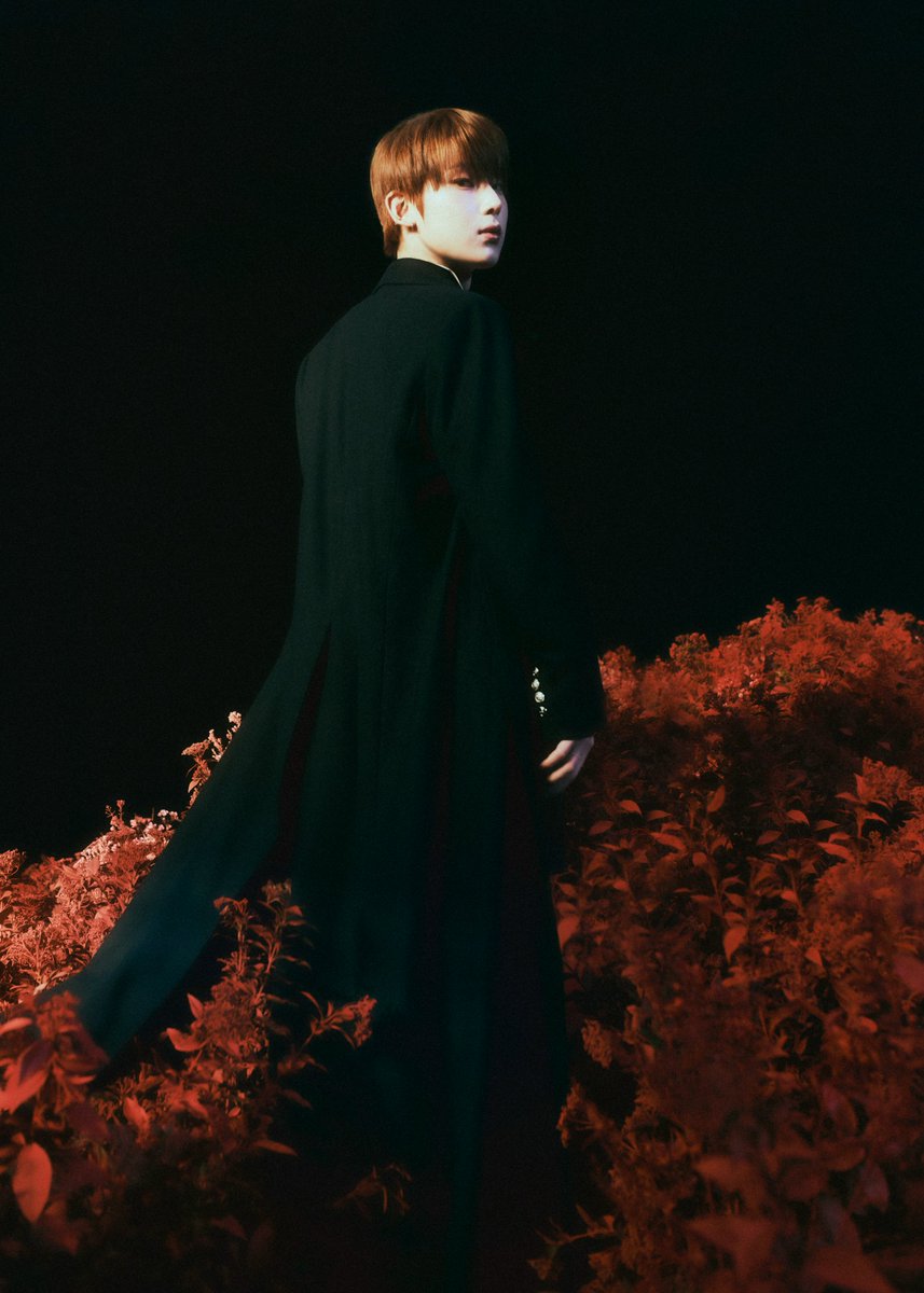 #ENHYPEN <DARK BLOOD> Concept Photo (NEW Ver.) - #선우 #SUNOO

#엔하이픈 #DARKBLOOD #EN_NEW