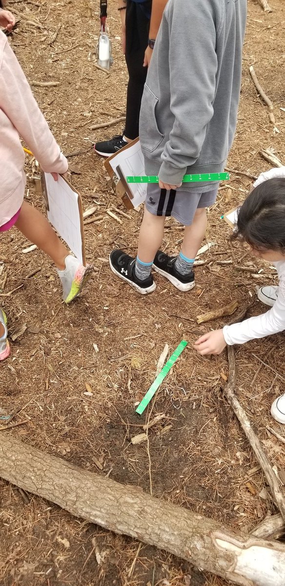 McMahonFirsties's tweet photo. It was a good day to do outdoor math. #firstgradeforesters #mcfirsties #handsonlearning https://t.co/5rDsOQF9Wn