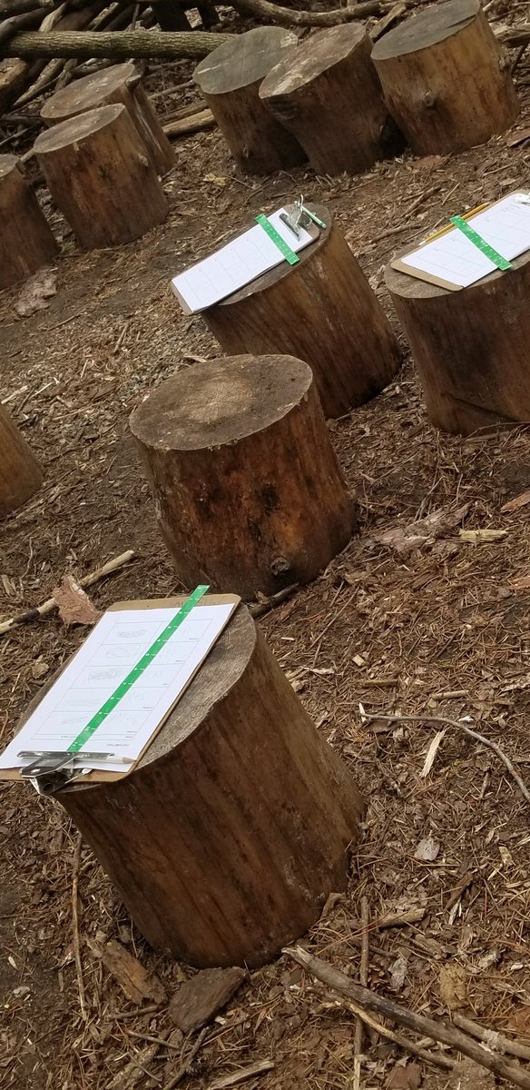 McMahonFirsties's tweet photo. It was a good day to do outdoor math. #firstgradeforesters #mcfirsties #handsonlearning https://t.co/5rDsOQF9Wn