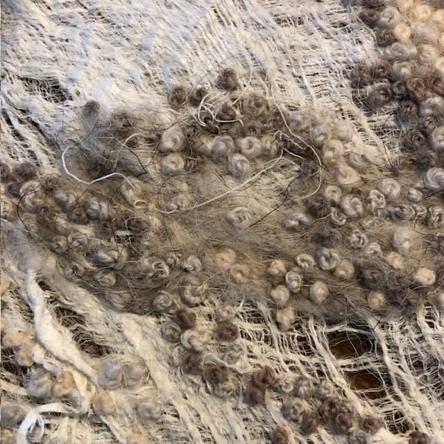 KZichtlijn's tweet photo. Expositie ‘Mycelium’ 26 mei t/m 4 juni, Roomsterborgh, Leek. 
Exposant Hetty de With:
"Mijn werk toont schimmels, wortels en sporen die door mycelium verbonden zijn. Ik heb rechtstreeks geborduurd op de bast van de moerbeiboom. Hierdoor raken ondergrond en bovengrond verweven." https://t.co/Q6X7t5b3uS