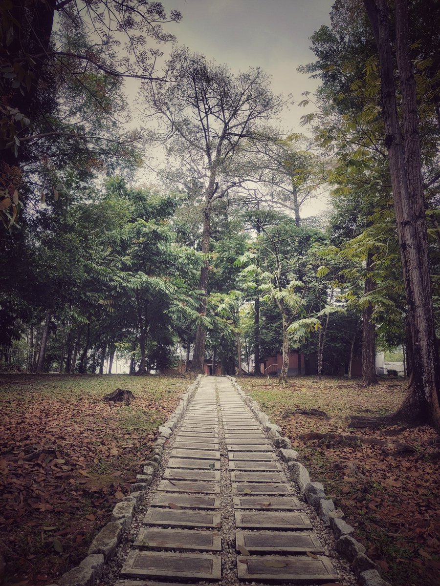 8ShenBoZi's tweet photo. The Road Not Taken. 

#photography #photo #photooftheday #tarumt  #photographer #photoshoot #beyondeducation #photography #写真 #vivox50pro #vivo #taruc #tarumt #smartphonephotography #取って #拉曼理工大学 #拉曼理工大學 #大學 #大学 #马来西亚大学 #馬來西亞大學 #八神博子 https://t.co/f8DmGutpo2