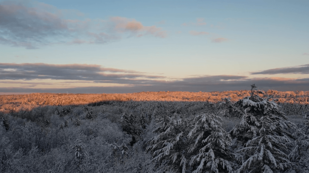 DarefulVideo's tweet photo. Get into the winter spirit with our free video of snow-covered trees! Perfect for adding a cozy feel to your video projects or presentations. #videography #stockvideo #winterwonderland Download here: https://t.co/a5OrhyF1Zi https://t.co/tQZq8dEG7j