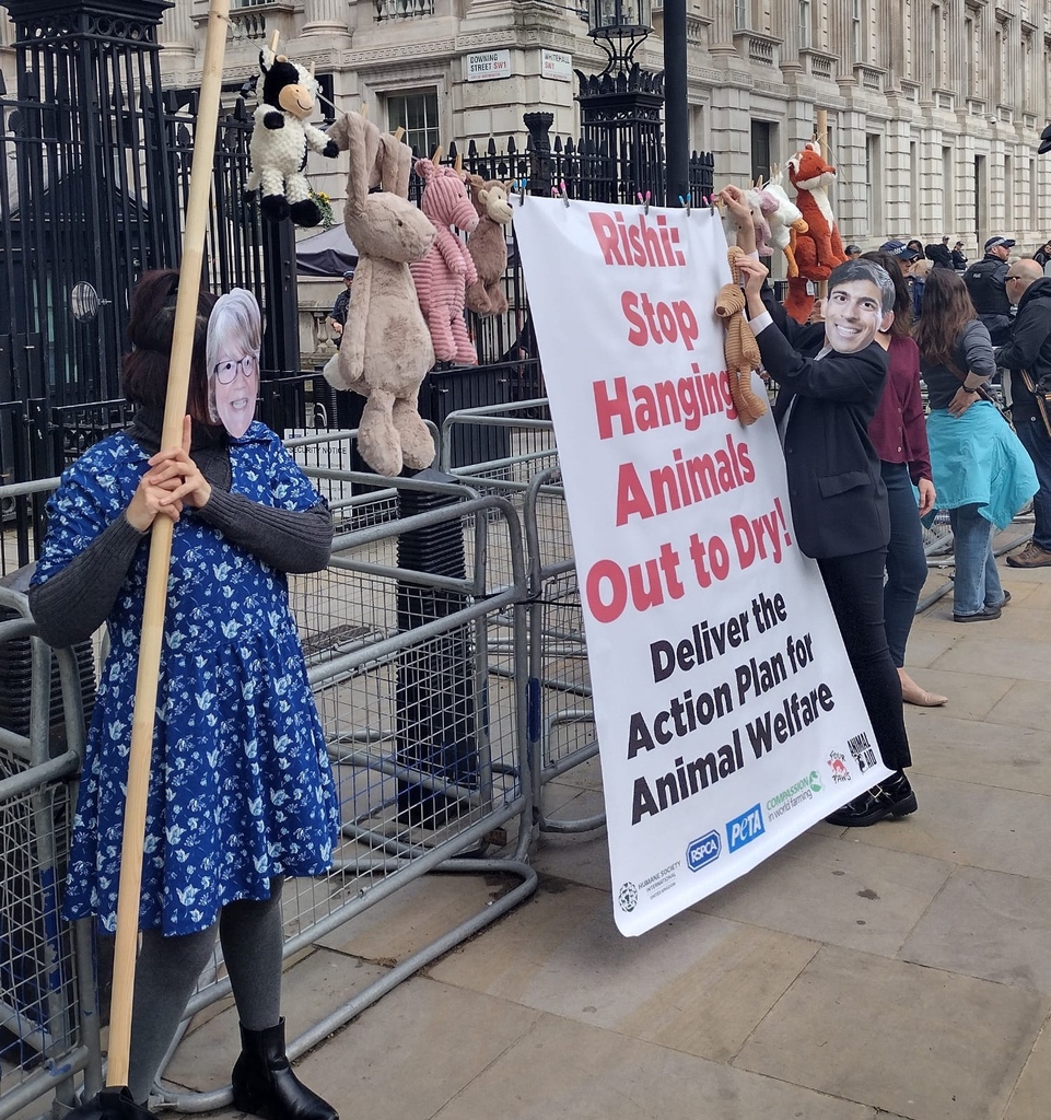The Prime Minister needs to keep former promises to protect animals. Stop hanging animals out to dry!!!

Learn more in our joint open letter – bit.ly/42k9NFd

#ActionForAnimals
#AnimalWelfare
#RishiSunak

@RishiSunak @HSIUKorg @petauk @fourpawsuk @ciwf @RSPCA_PATeam