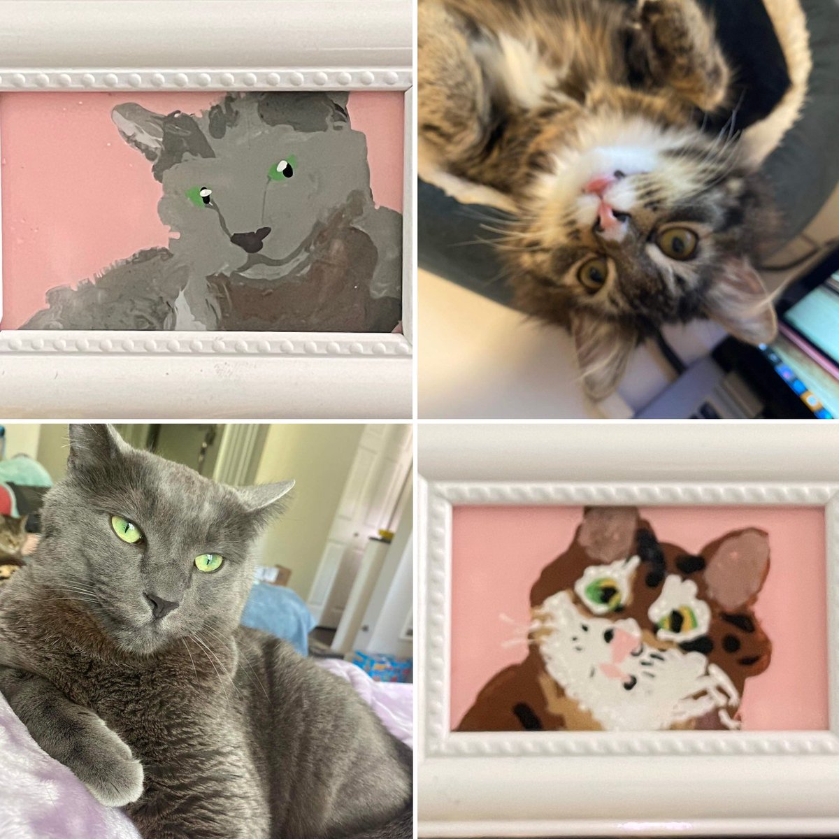 MrsBButters's tweet photo. Fundraising is never easy. So proud of my daughter’s initiative and creativity. These pet pictures that she’s painting for $10 to save up for a trip to London are so cute!  I’m curious - what fundraisers have you had success with? @chickensrevenge https://t.co/VelVTPhSqg