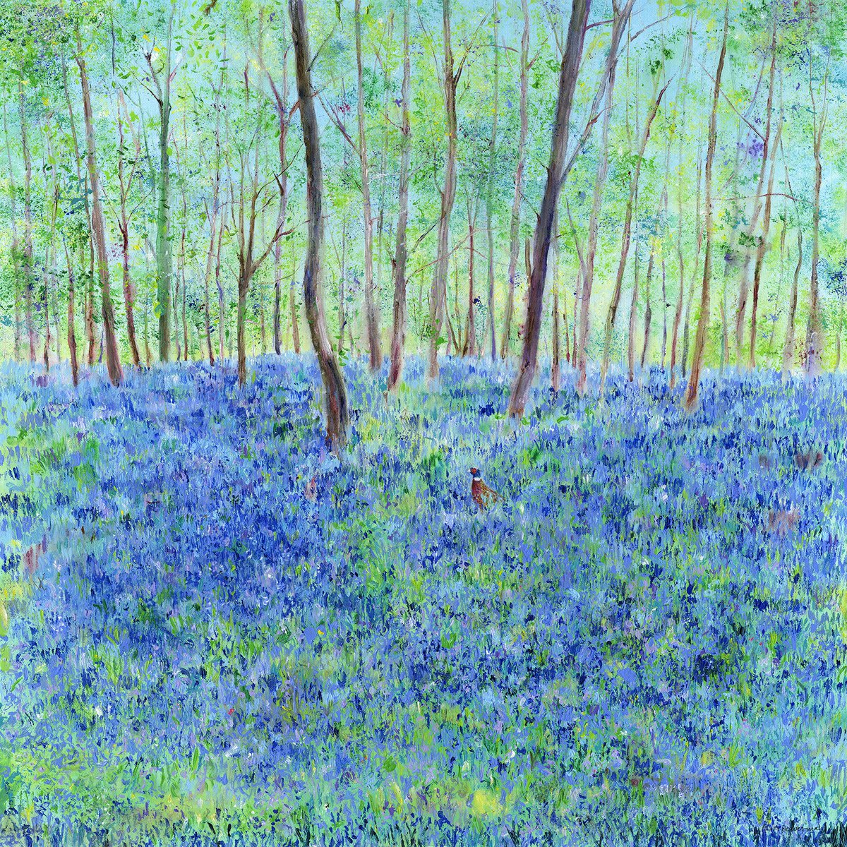 anitabowerman's tweet photo. Bid now if you would like to own this original painting https://t.co/AzQt8tnuaC #Charity Silent auction closes at 4.30pm today helping Yorkshire Air Ambulance and other Yorkshire Charities.  Spot the #Pheasant. 75cm x 75cm ready to hang.
 #yorkshire #harrogate #bluebellpainting https://t.co/hzgK2EufEX
