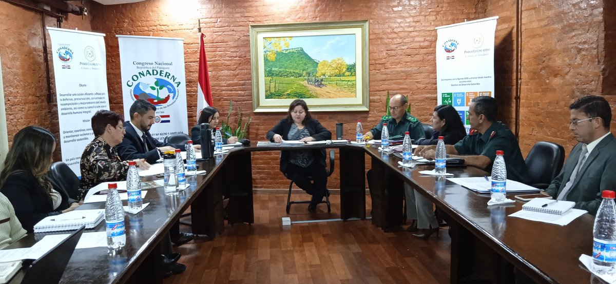 CONADERNAPY's tweet photo. ⚠️#Ahora Inicia la mesa de trabajo coordinada por la #CONADERNA @JuanAfara para tratar el Proyecto de Ley que busca declarar como área protegida la Laguna Tacumbú, de Asunción, propiedad de la 1ra División de Infantería
📍Sala de reuniones de la Comisión https://t.co/U1sxHxm49r