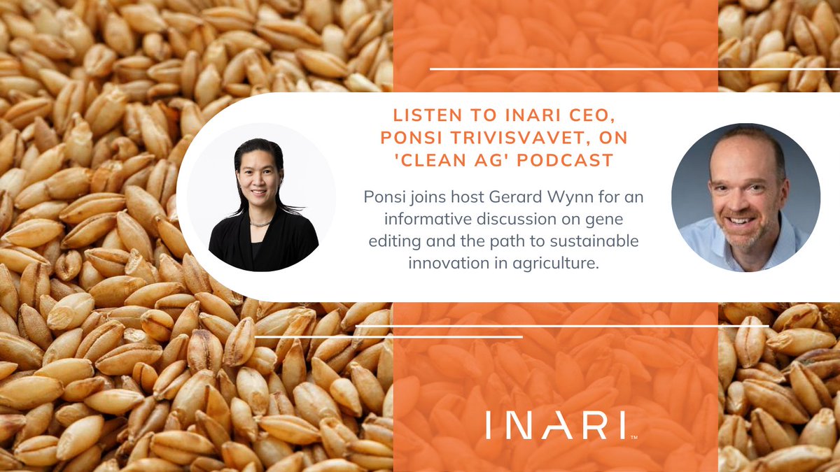 Inari_Ag's tweet photo. How can gene editing support more sustainable farming? Our CEO, @P_Trivisvavet, explains to @Gerardfwynn on the latest #CleanAg podcast. Listen here: https://t.co/9qcM41WUZU https://t.co/DRJX96wYN0