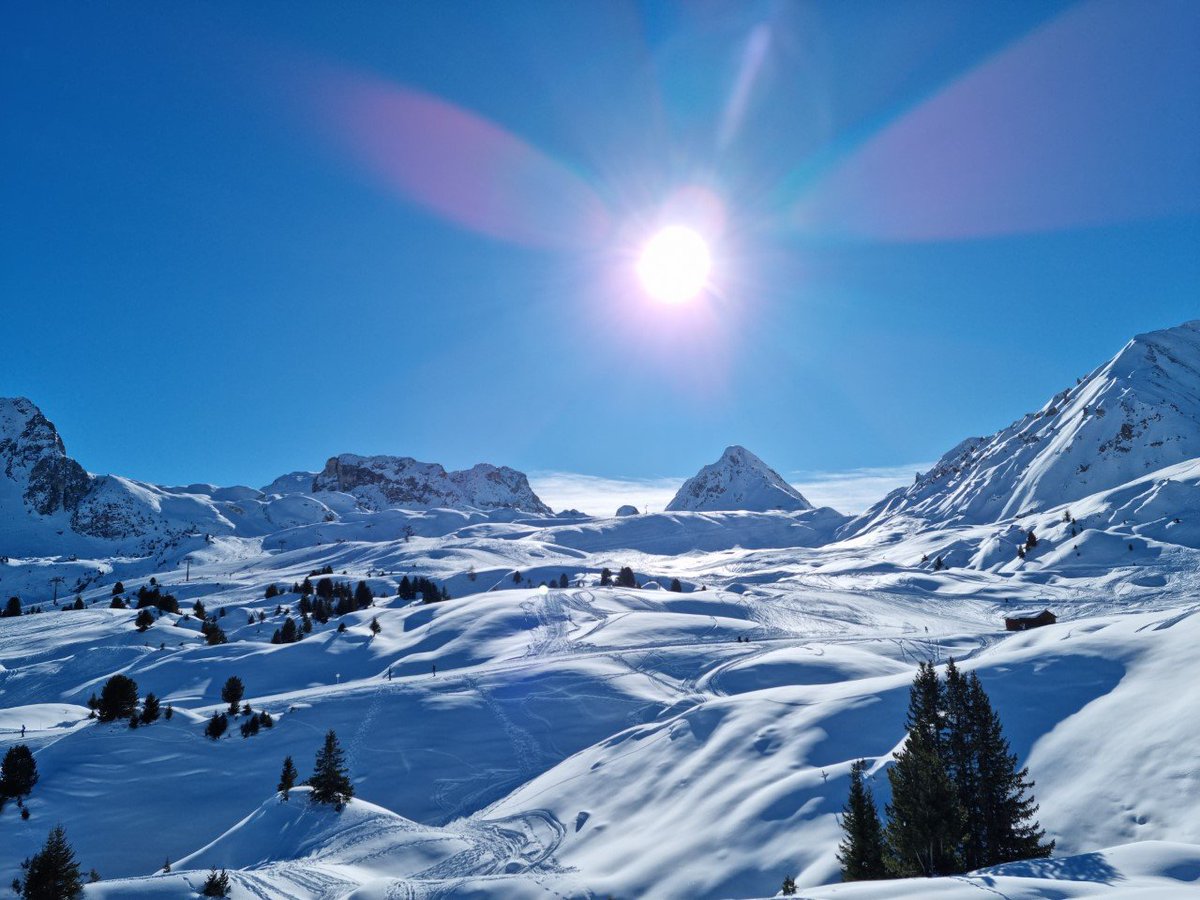 Insurance Brokers tweet media