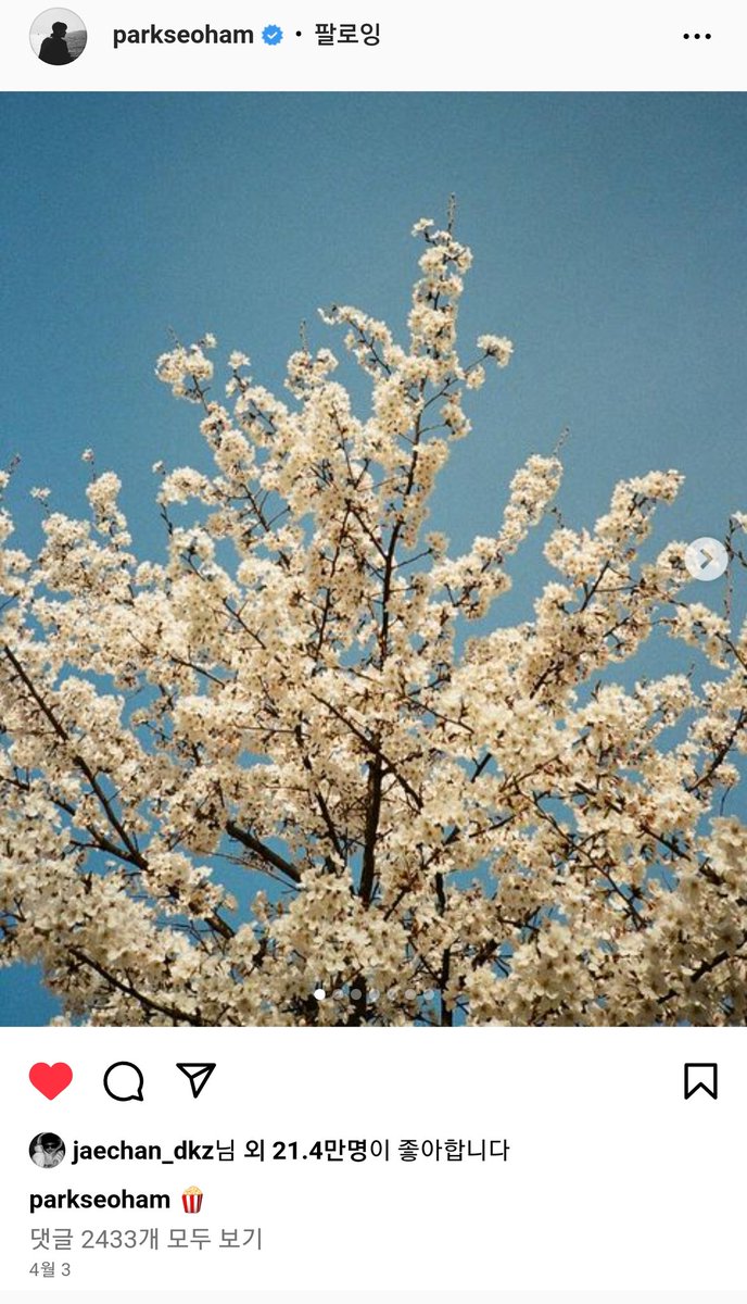 crackkeycode's tweet image. 어어...?응..?