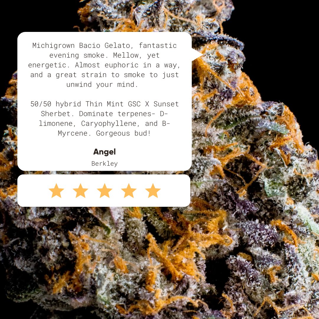 QualityRoots's tweet photo. Quality reviews from quality people! 💚 Have you tried #BacioGelato? It's the perfect bud to unwind with. 😌 https://t.co/pfs1e2fy7q