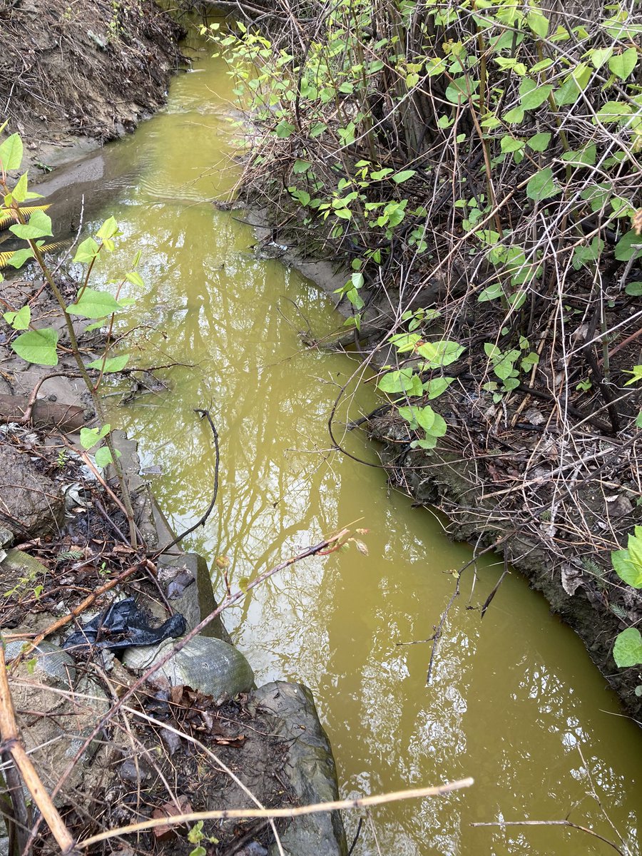 neorsd's tweet photo. life is a ditch and then you dye. https://t.co/e2AZ7yWOQs