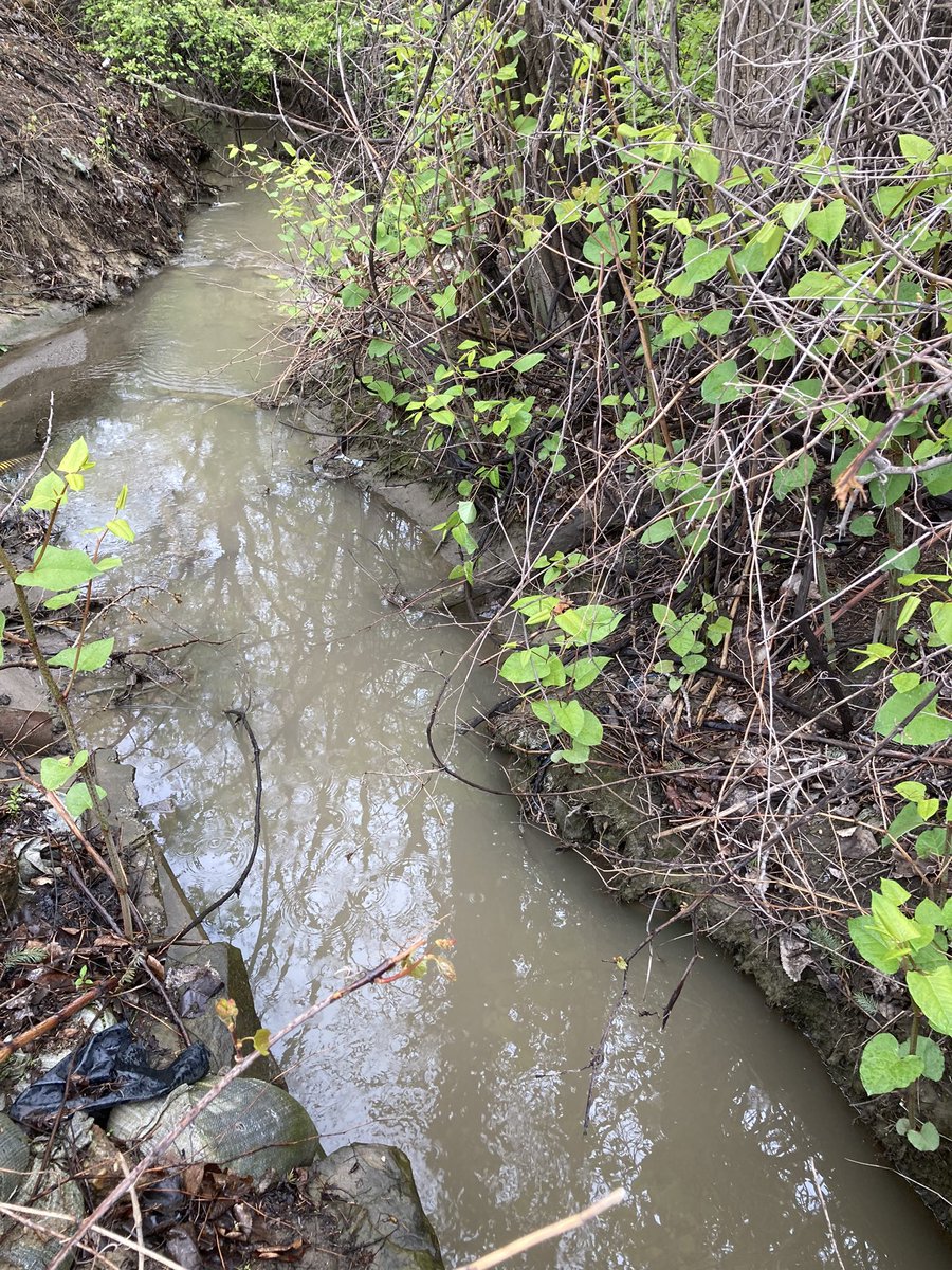 neorsd's tweet photo. life is a ditch and then you dye. https://t.co/e2AZ7yWOQs