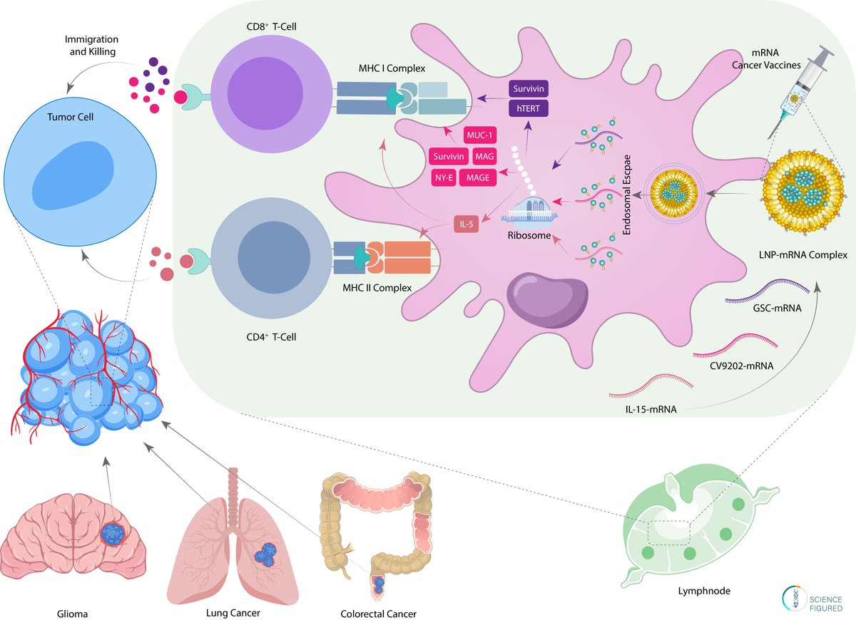 Science Figured tweet media