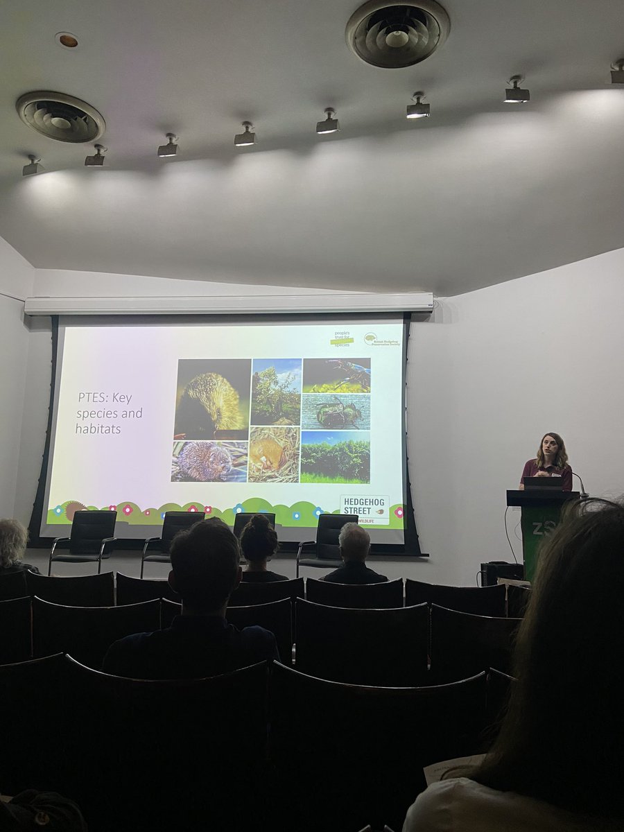 First up is @JohnsonGrace01 who gave a brilliant talk about @PTES and their project in collaboration with @hedgehogsociety, Hedgehog Street! 

Hedgehog Street has been running for 12 years now, and has been crucial in hedgehog conservation in the UK 🦔 #ZSLTalks