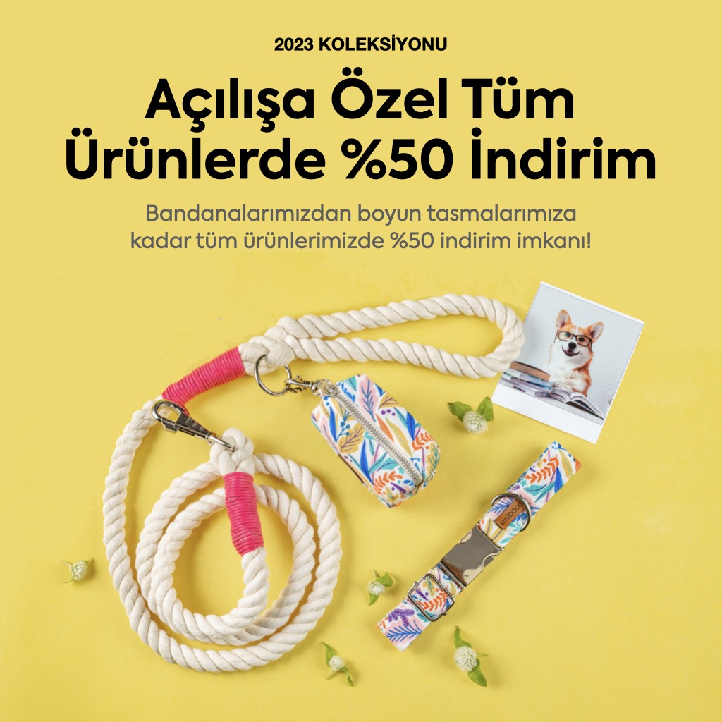 Lusi Doog (@lusidoog) / Posts / X
