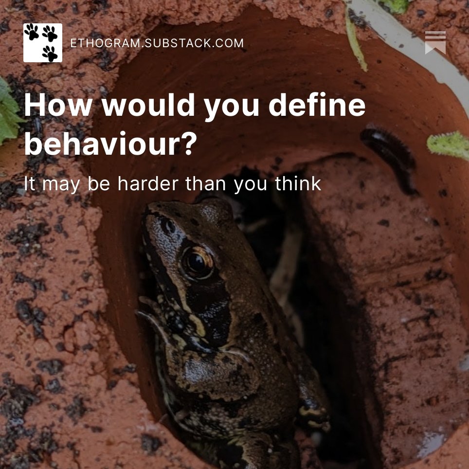 Hi again all! I just made a new post to my blog! You should check it out if you think it sounds interesting (link below). I make a blog post every week!
ethogram.substack.com/p/how-would-yo…