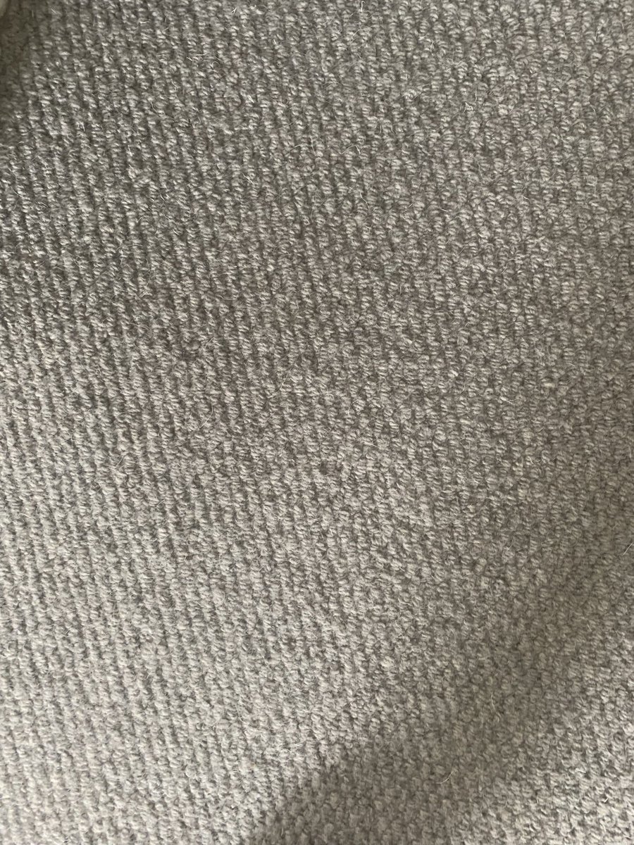 NickSusan tweet media