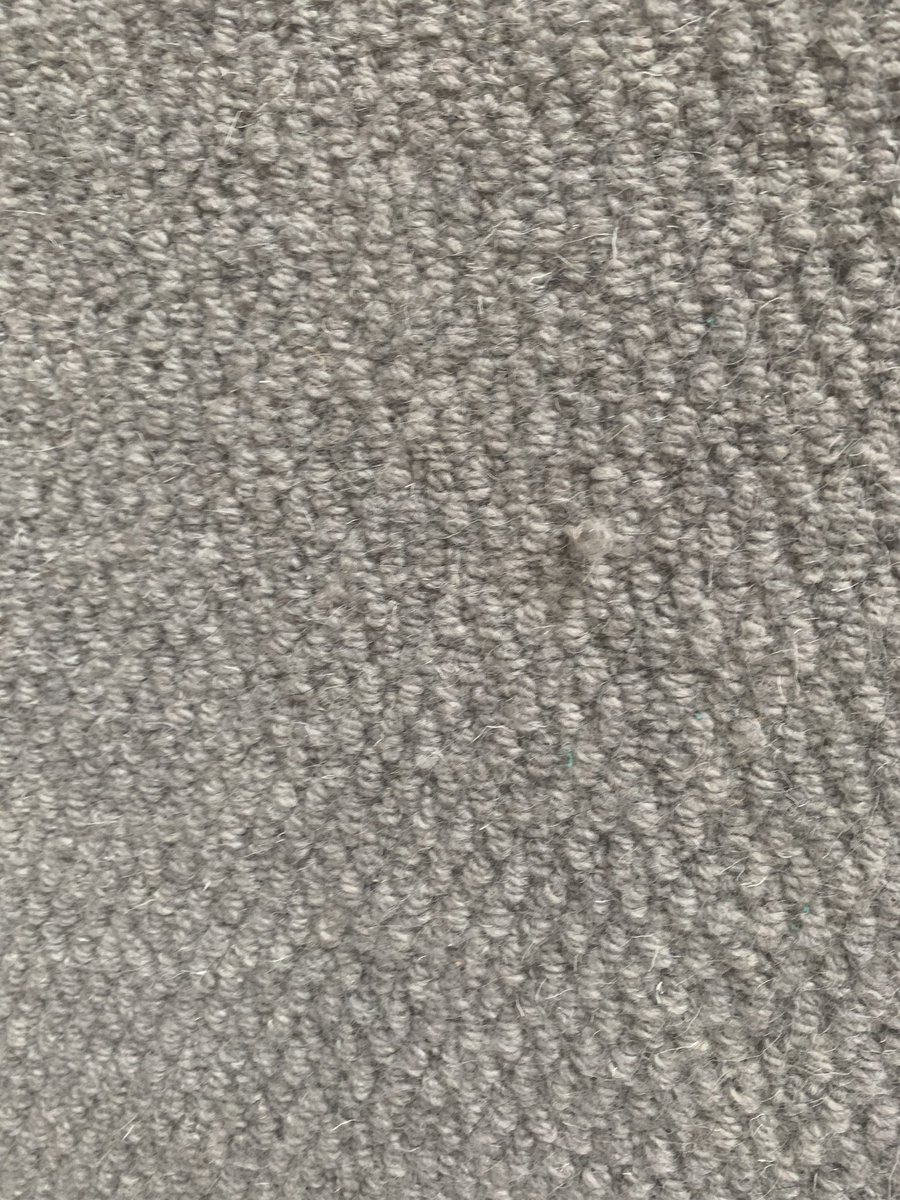 NickSusan tweet media