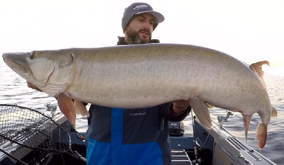 MuskyInsider's tweet photo. – @sloblandflicks is no stranger to BIG muskies, with a long history of plus-sized fish on the Great Lakes. We're excited to hear the insights he'll be sharing with the Musky Insider PRO community.

Check the link in our bio for more info (signup deadline is this Wednesday) https://t.co/gOosWEkeaf