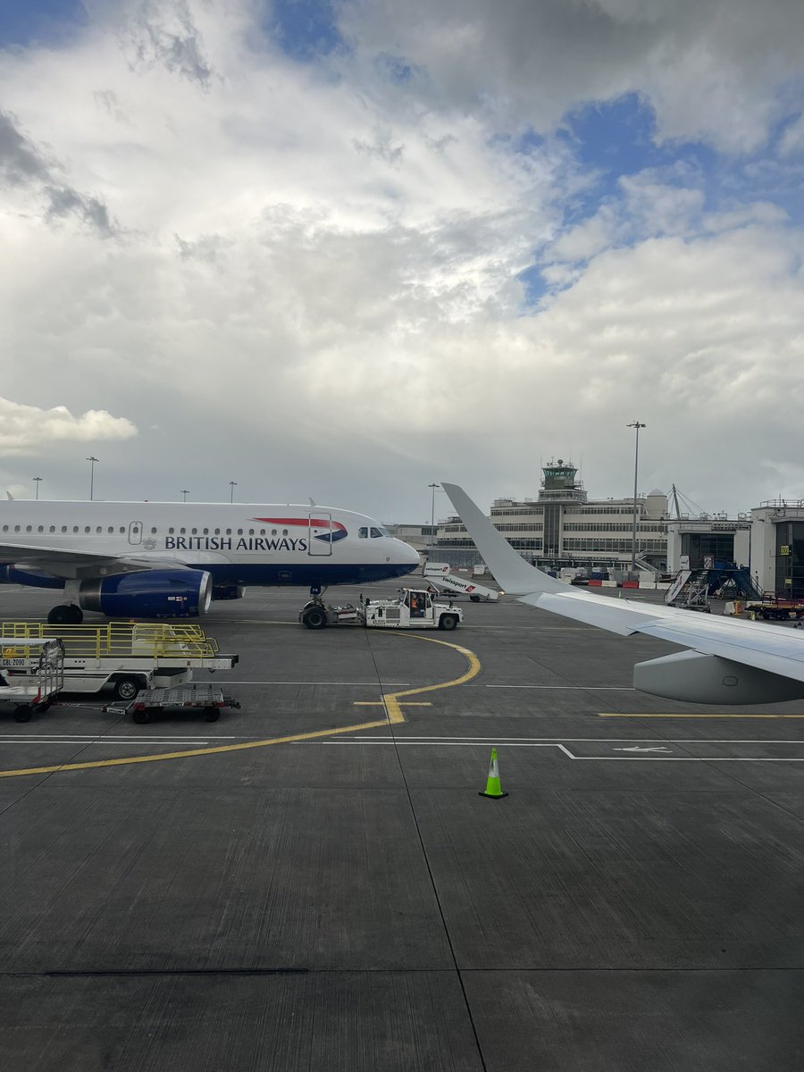 Brian_AutoEntry tweet media