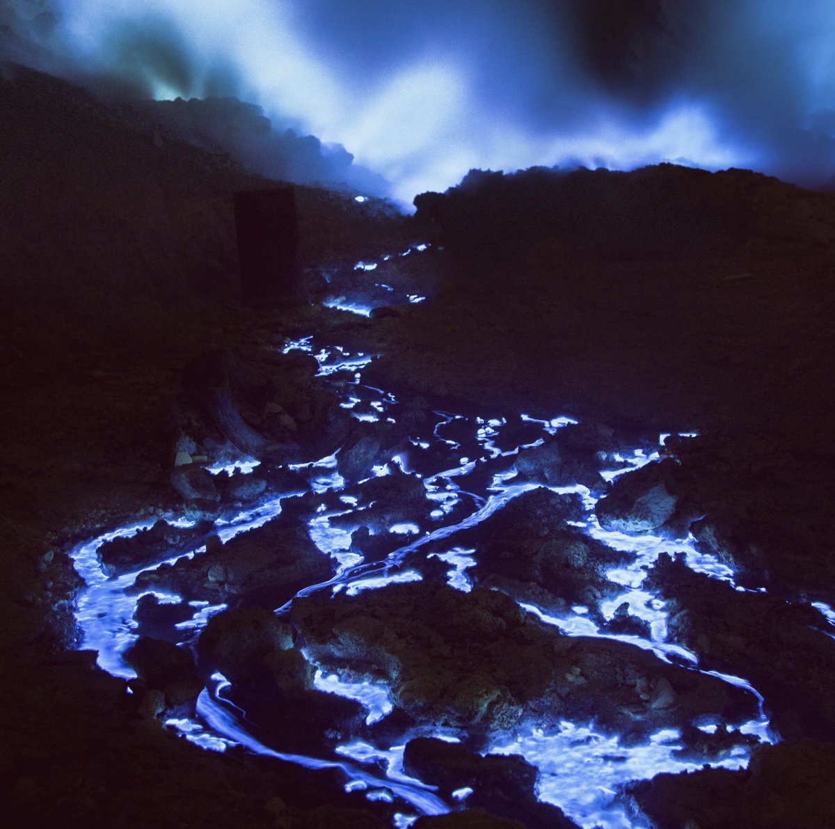 Reuben Wu tweet media