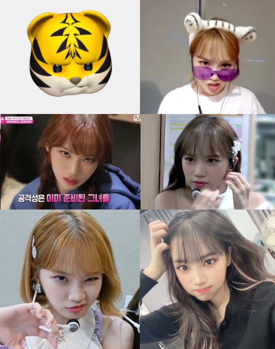 hourchaewon's tweet photo. ssamachi is a mixture of ssammu + yangachi, which is for when she acts angry/tough https://t.co/vDDiPcwZox