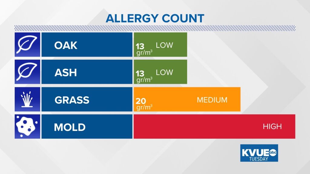 Austin Allergies tweet media