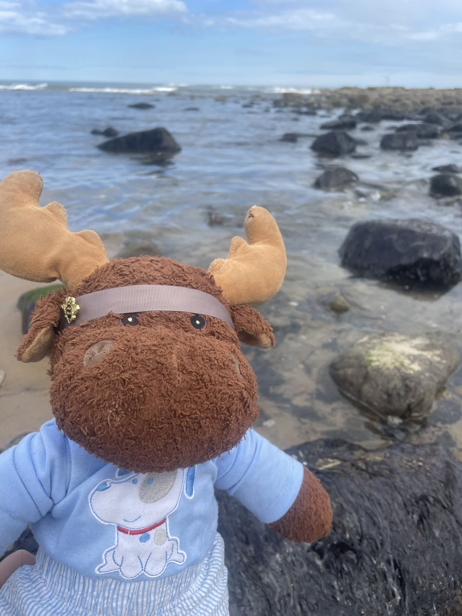 waddells74's tweet photo. All the colours are wrong here water and stones aren’t these colours #intertidalzone needs protecting!… I am on it!!!…#MakeADifference @bbcnewcastle @mcsuk #TheBigHelpOut @NorthWildlife @Stevewal63 @des_farrand @CapnSasquatch @JosephusLudwig @ArgyllSeaGlass @Hyperion_PSN https://t.co/4vWoI4vv7l
