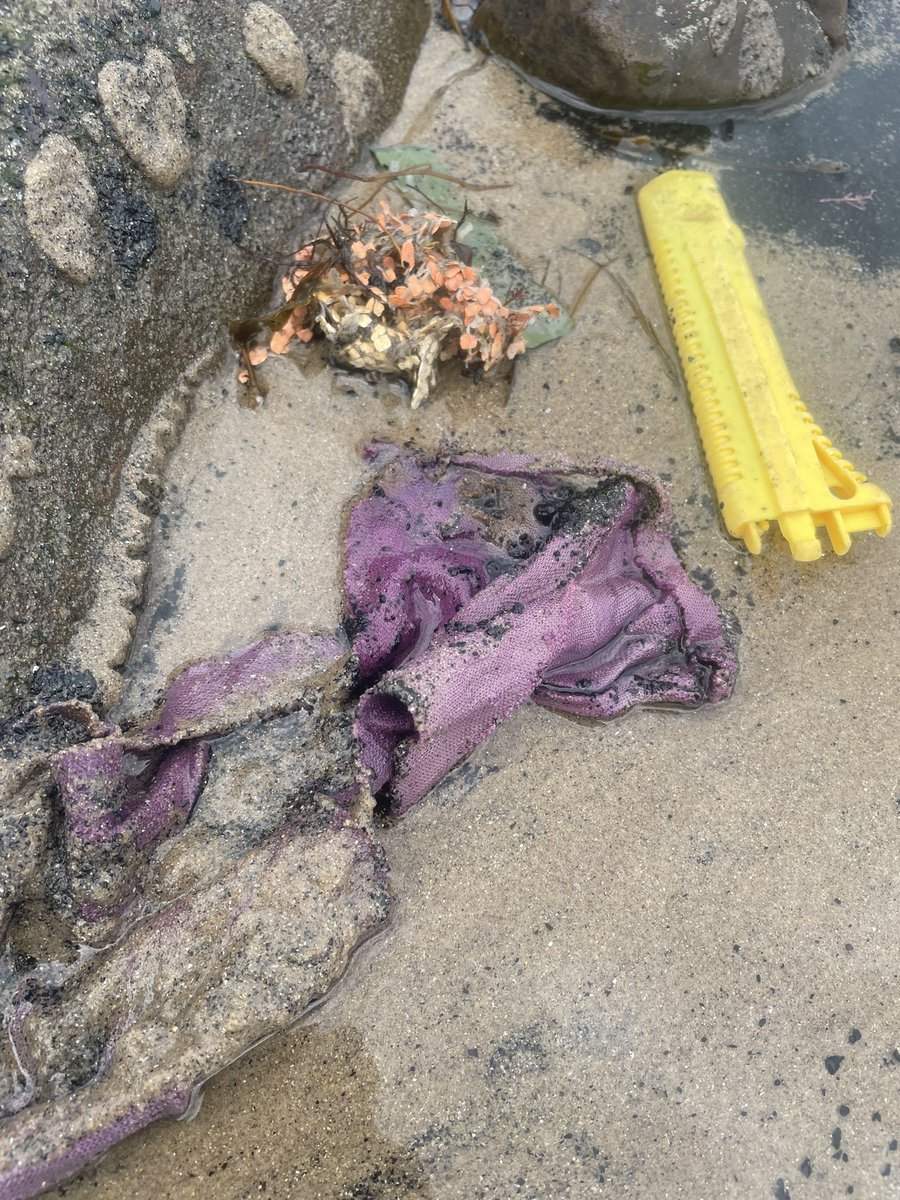 waddells74's tweet photo. All the colours are wrong here water and stones aren’t these colours #intertidalzone needs protecting!… I am on it!!!…#MakeADifference @bbcnewcastle @mcsuk #TheBigHelpOut @NorthWildlife @Stevewal63 @des_farrand @CapnSasquatch @JosephusLudwig @ArgyllSeaGlass @Hyperion_PSN https://t.co/4vWoI4vv7l