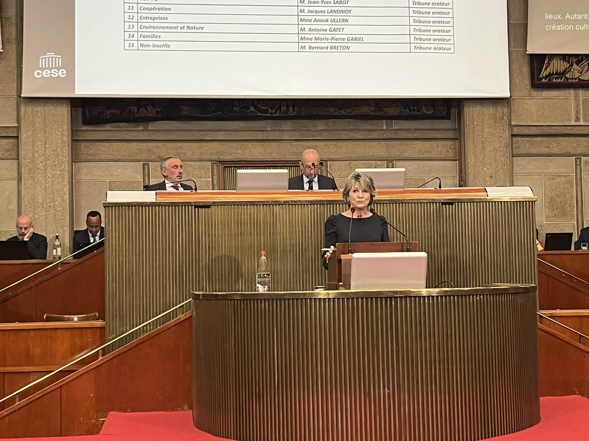 .<a href="/LaureVIAL1/">Laure VIAL</a> à propos de la résolution du <a href="/lecese/">CESE</a> « Crise du secteur culturel : l’urgence d’agir » : « La culture mérite plus que jamais d’être réinvestie et promue. Le rôle des artisans d’art doit être souligné et leurs savoir-faire valorisés. »