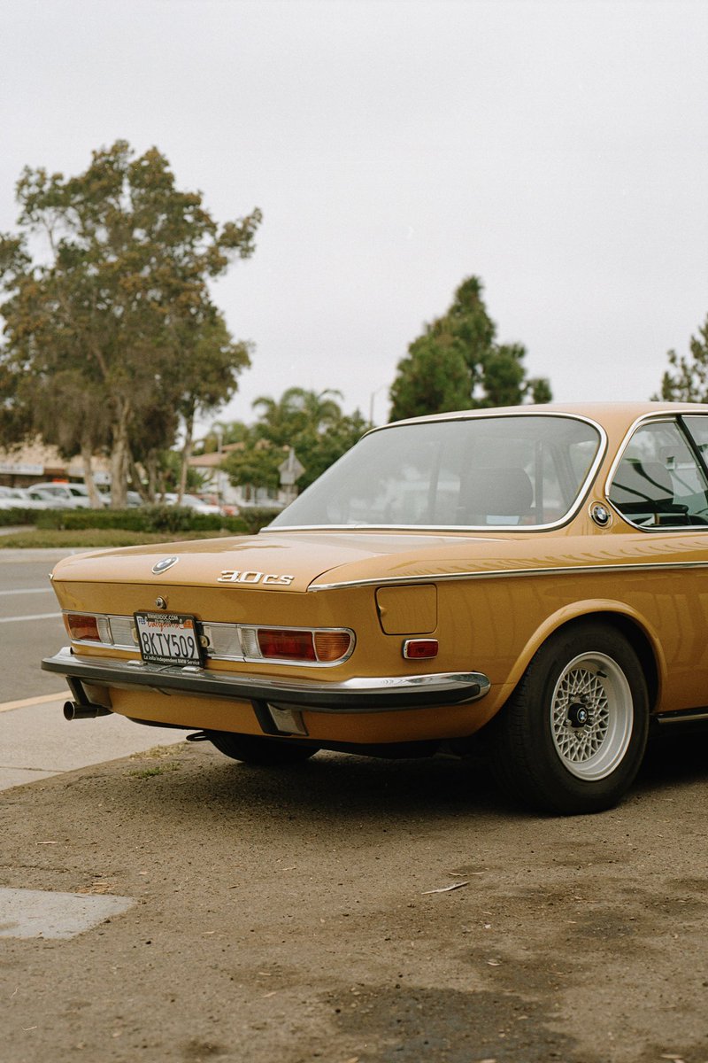 Shotby_dp's tweet photo. Something about this color 🤌🏼 shot on @KodakProFilmBiz Gold 200// Mamiya 645 https://t.co/XTqMMHrpXQ