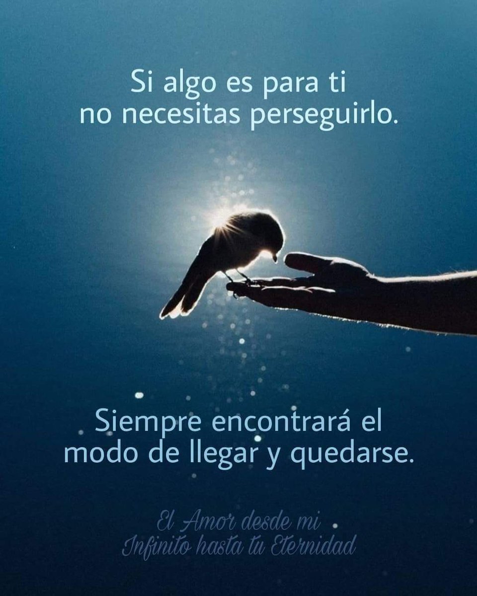 ggsaavedra1's tweet photo. https://t.co/zfVfrpKJc3
