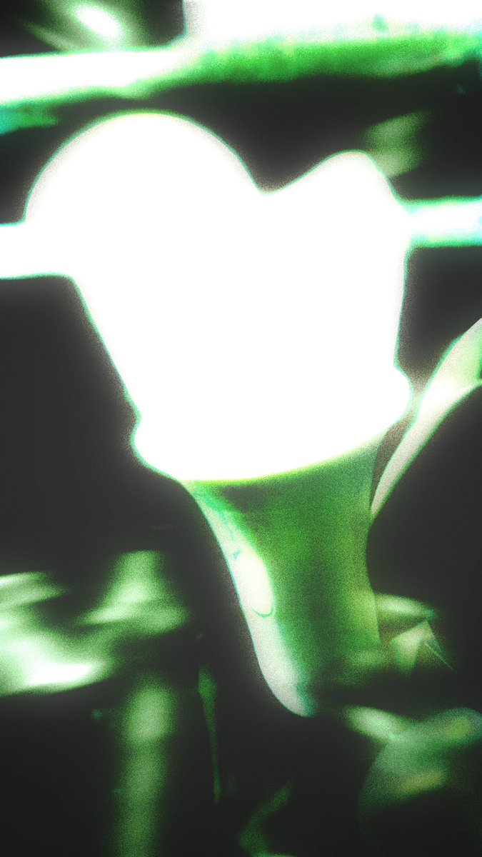 아가새 생일 축하한다💚