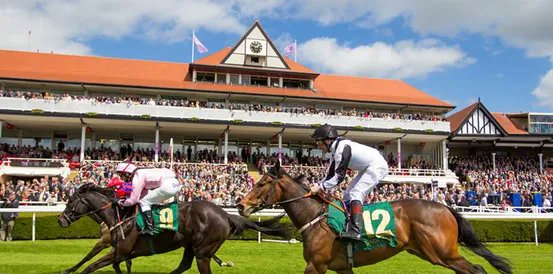 racing_odds's tweet photo. 🏇 Chester Cup Tips 🏇

➡️ https://t.co/eQpClENtKn

Novel Legend All the Rage to Win #ChesterCup.

Is the favourite still value to win? https://t.co/7UMtCfmjU7