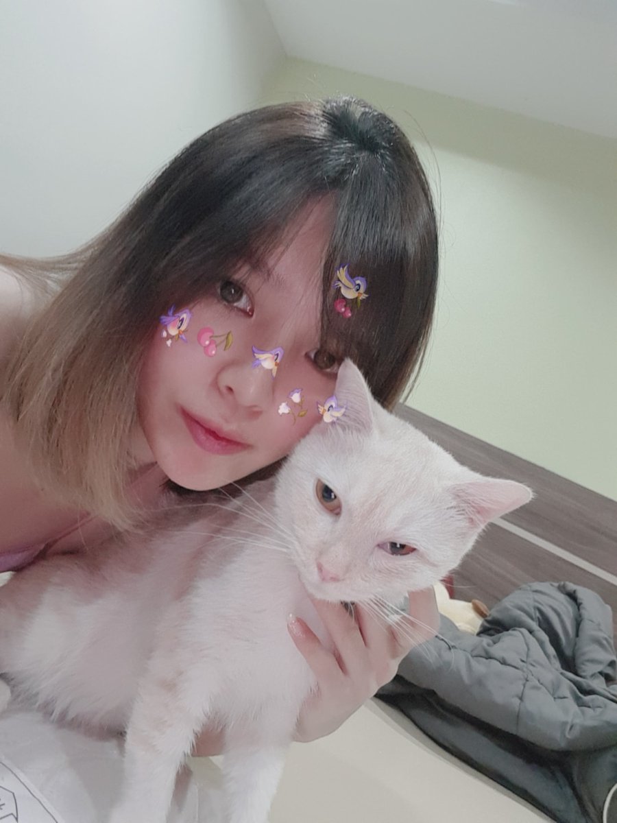 nanthicham178's tweet photo. ถ้าดึกๆ มันเหงา ไลน์มาหาเราได้นะ🤪
#ฝันดีนะค่ะคนมีคู่คนโสดอย่างเราก็นอนครนเดียวต่อไป😴💤 https://t.co/7UZFNU4Kid