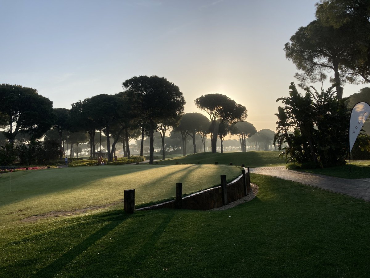 Nobilis GC. Wowzers