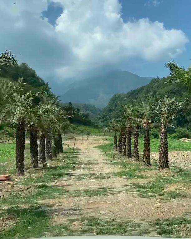 rajeshkumar1016's tweet image. Nothing can be beautiful than nature... Love it.