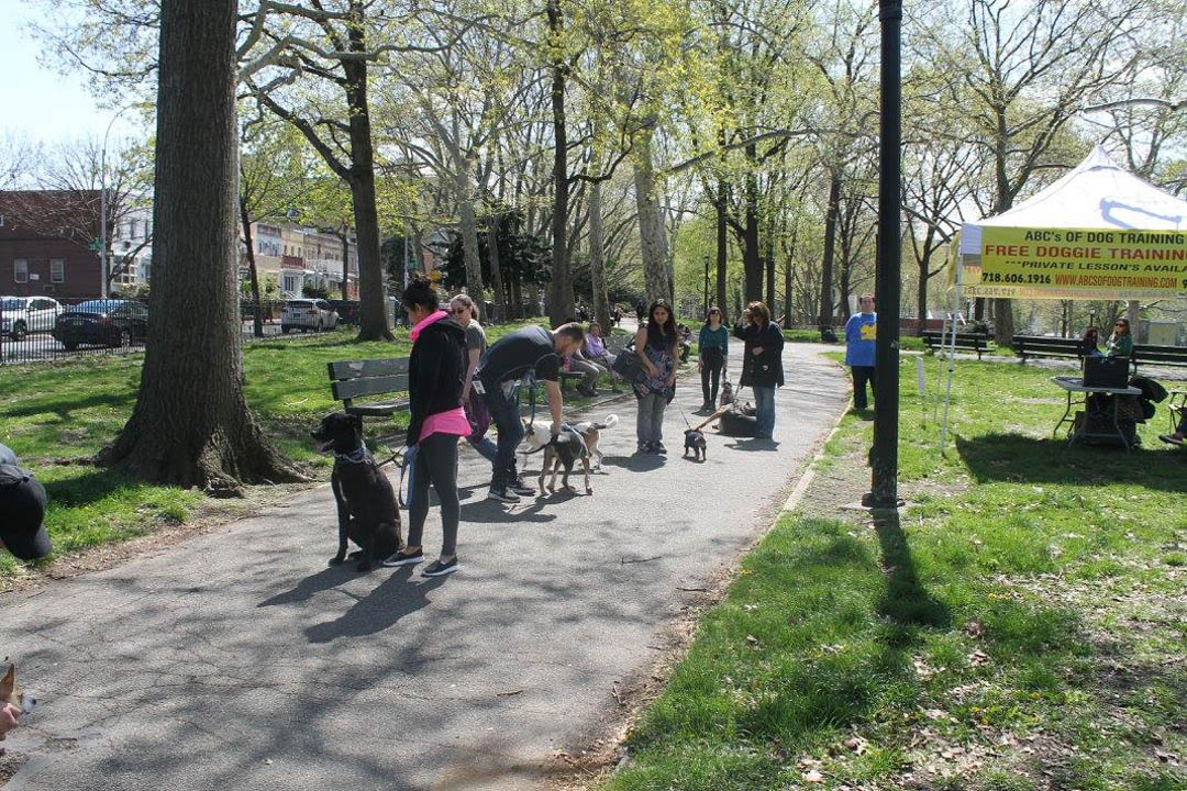 ABCsofDogT's tweet image. You will learn the correct way to socialize your dog, train your dog&apos;s obedience, and get free advice on solving problems you may have with your dog. Visit our website for more information about our dog behavior modification service!

#DogBehaviorModification  ...