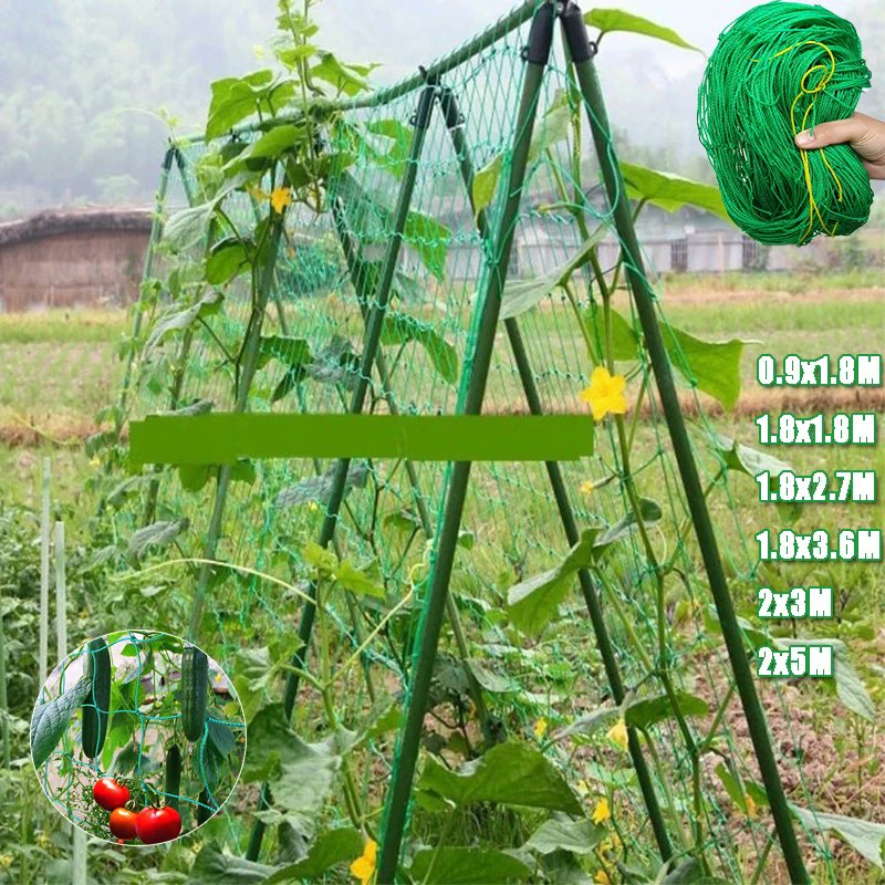 JonArauzo's tweet photo. 30% OFF
Trellis Netting for Climbing Plants Heavy Duty Garden Trellis Netting for Vine,Fruits & Vegetables,Climbing Vining Plants
Click here now:
https://t.co/8FB27job7z
#trellis #netting #vining #plants #vegetables #garden #products #forsale #discounts #onlineshopping #smallbusiness #affiliatemarketer #marincounty