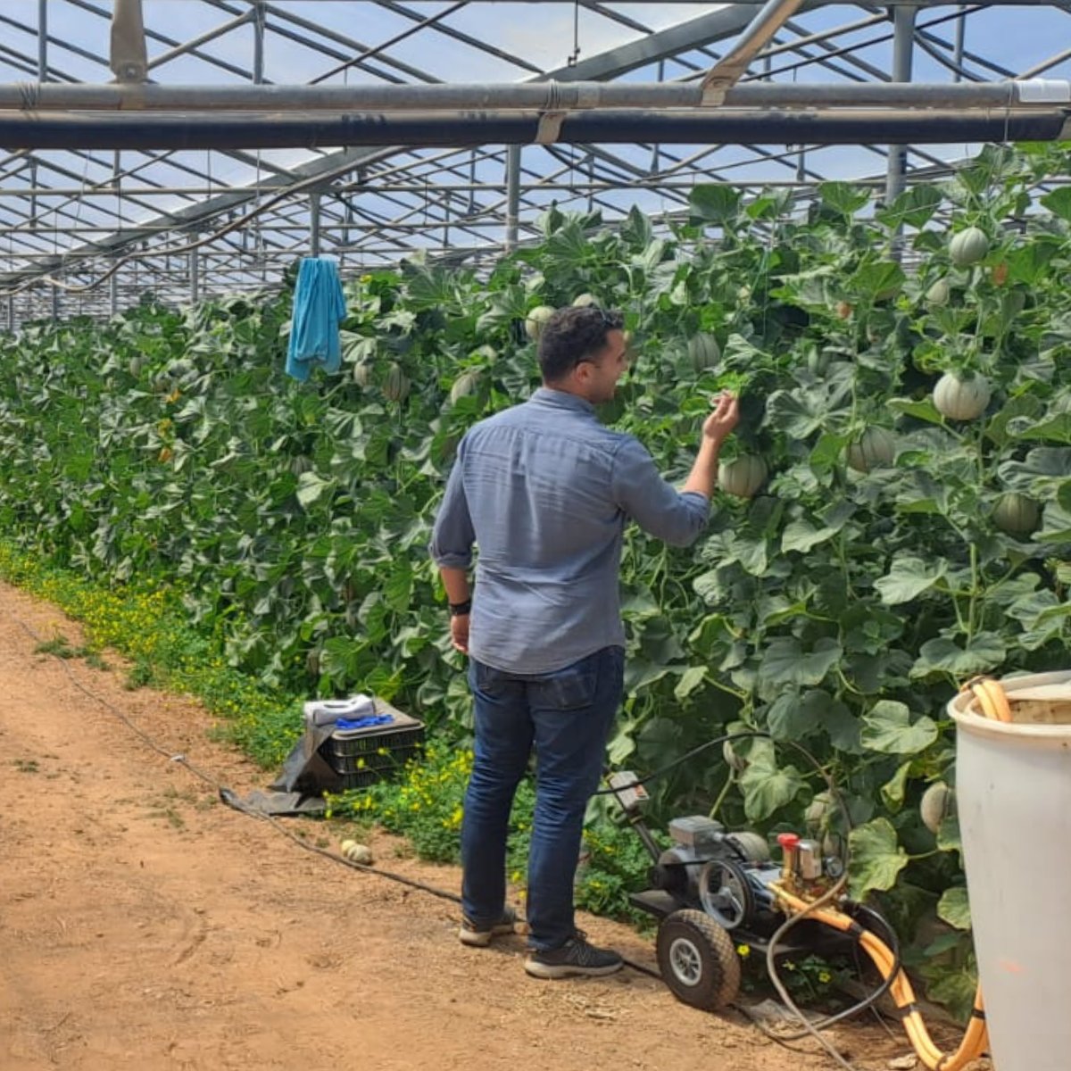 BiocontrolPlant's tweet photo. ✈️ Aterrizamos en Grecia 🇬🇷 para visitar a nuestro colaborador @Agrostep_ 
Analizamos las necesidades del mercado griego y visitamos proyectos de #biocontrol 🌱 con distribuidores y #agricultores locales.
Un placer trabajar con un equipo tan profesional y experimentado. 🔝💪🏽 https://t.co/Xt4P7XBJoy