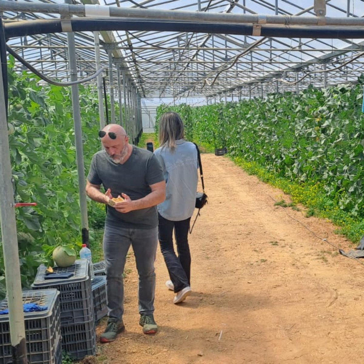BiocontrolPlant's tweet photo. ✈️ Aterrizamos en Grecia 🇬🇷 para visitar a nuestro colaborador @Agrostep_ 
Analizamos las necesidades del mercado griego y visitamos proyectos de #biocontrol 🌱 con distribuidores y #agricultores locales.
Un placer trabajar con un equipo tan profesional y experimentado. 🔝💪🏽 https://t.co/Xt4P7XBJoy
