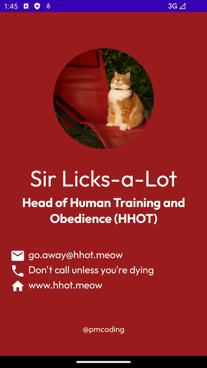 PMcoding's tweet image. Started learning #Android App Development with #kotlin - one task was to build a business card app. Et voilà, my creation below. Since I was too lazy to generate the name and job title myself, I delegated the task to #ChatGPT