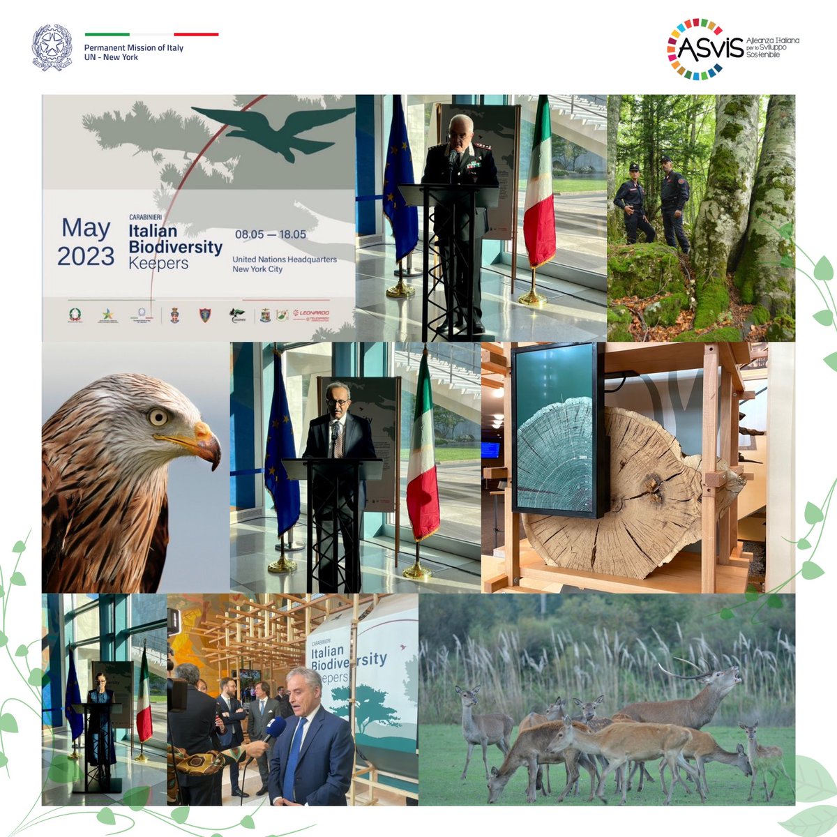 ItalyUN_NY's tweet photo. Successful opening at🇺🇳UNHQ of the "Carabinieri: Italian Biodiversity Keepers" Exhibit spotlighting the 🇮🇹 @_Carabinieri_ specialized unit #CUFA &amp; its tireless job in safeguarding natural heritage, flora &amp; fauna. 🙏to Jamil Ahmad, Director IG Affaires @UNEP &amp; to all participants. https://t.co/O0IluCHV2J