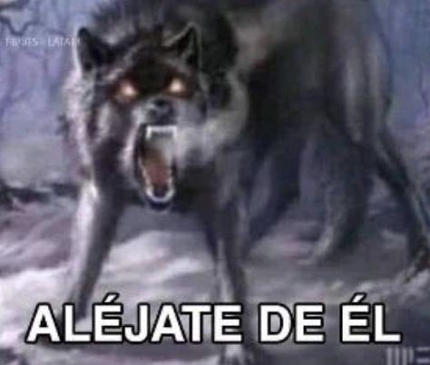 andu|| ATE 🥠 TWILIGHT tweet media