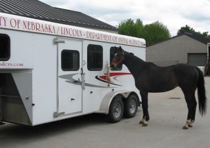 Making sure your trailer is in tip-top shape is important to the safety of you, your horse and others on the road with you. Take a look at our YouTube video series on trailers below. 

youtube.com/playlist?list=…